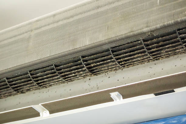 Best Ductwork Cleaning Services  in Atco, NJ